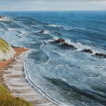 Dorser, Jurassic Coast